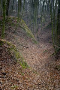 61 Niezależni XXXI rajd W NIEZNANE Łopatki 01-03-2025 (70).jpg
